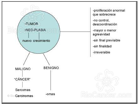 Esquema de las características y nomenclatura de las neoplasias