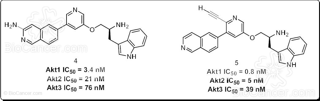 Estructura química de inhibidores funcionalizados sobre los anillos isoquinolínico (4) y piridínico (5)